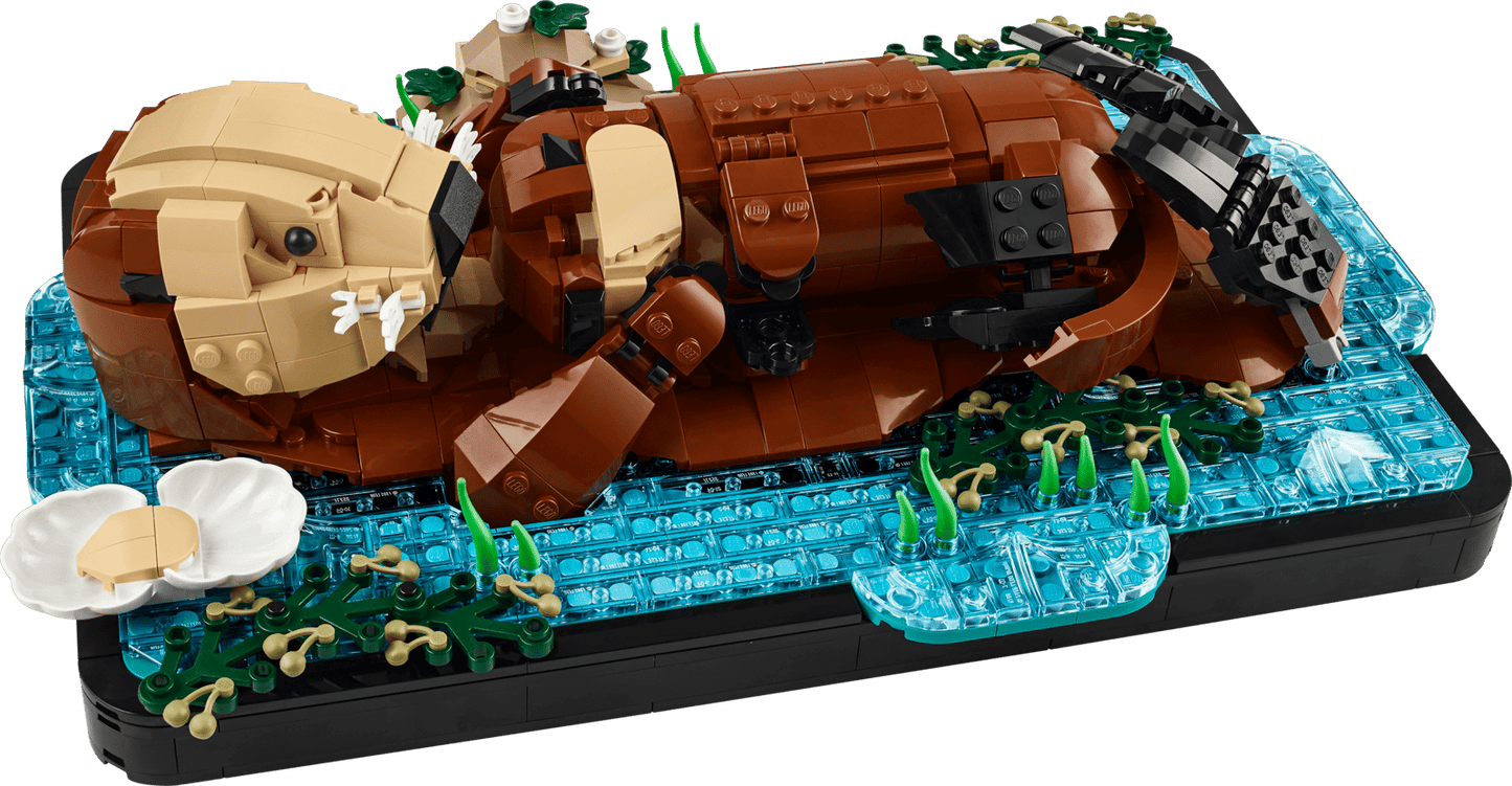 Floating Sea Otter