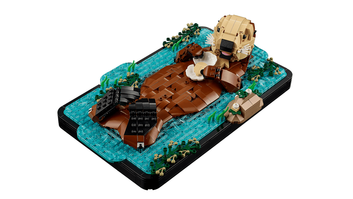 Floating Sea Otter